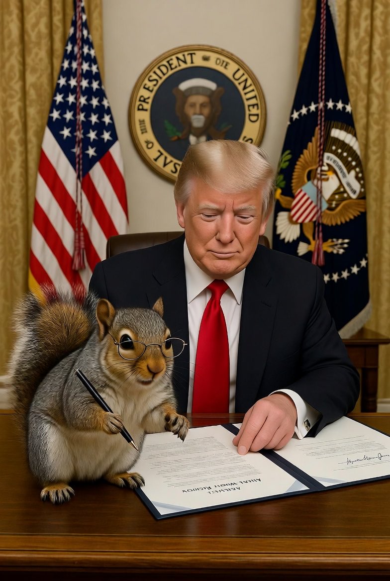 Squirrel tweet media