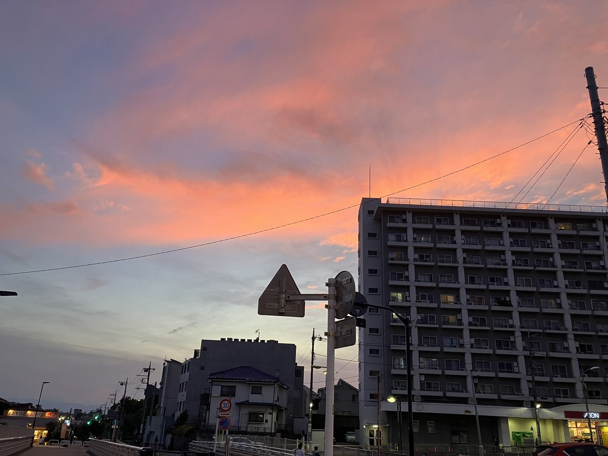 かな tweet media
