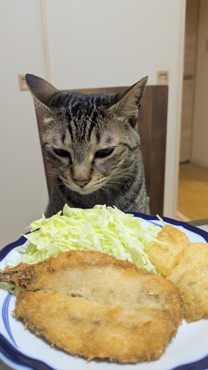 AKIFUMI OGA tweet media