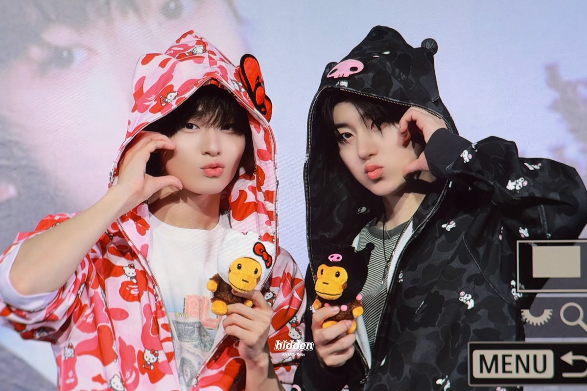 히든 tweet media