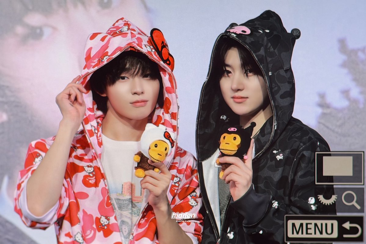 히든 tweet media