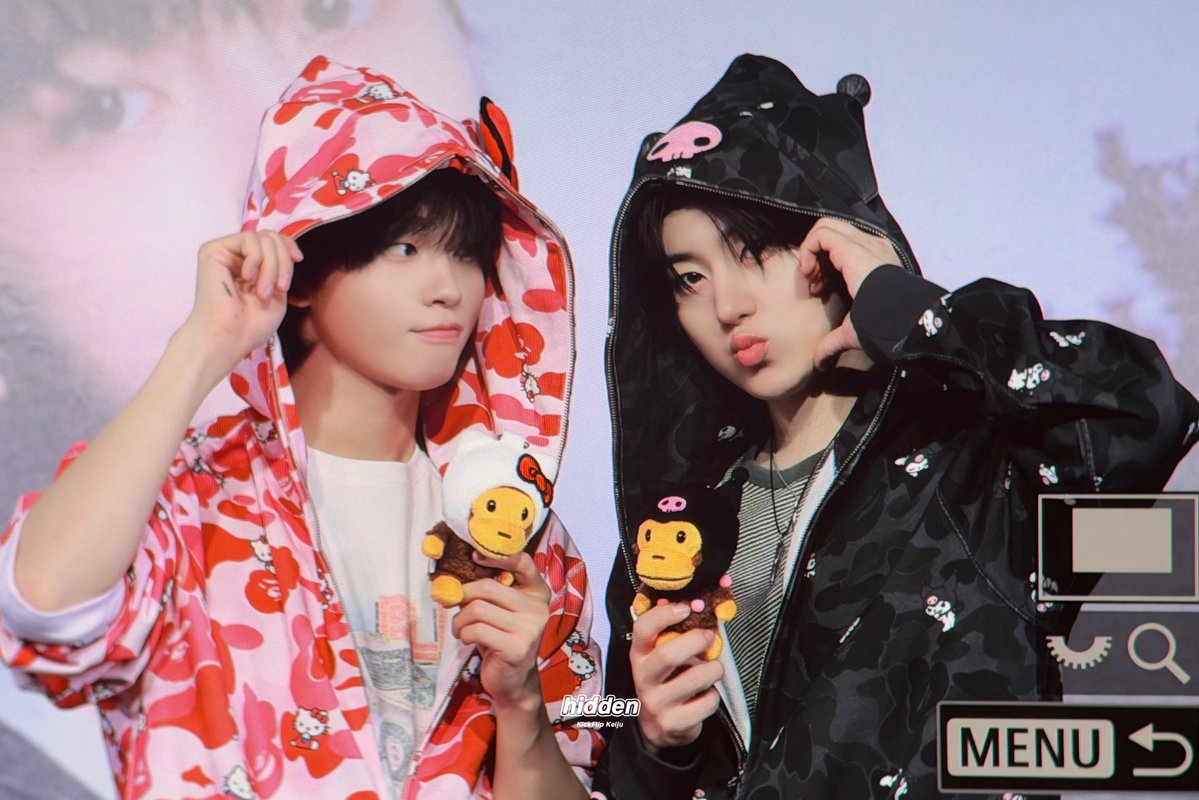 히든 tweet media