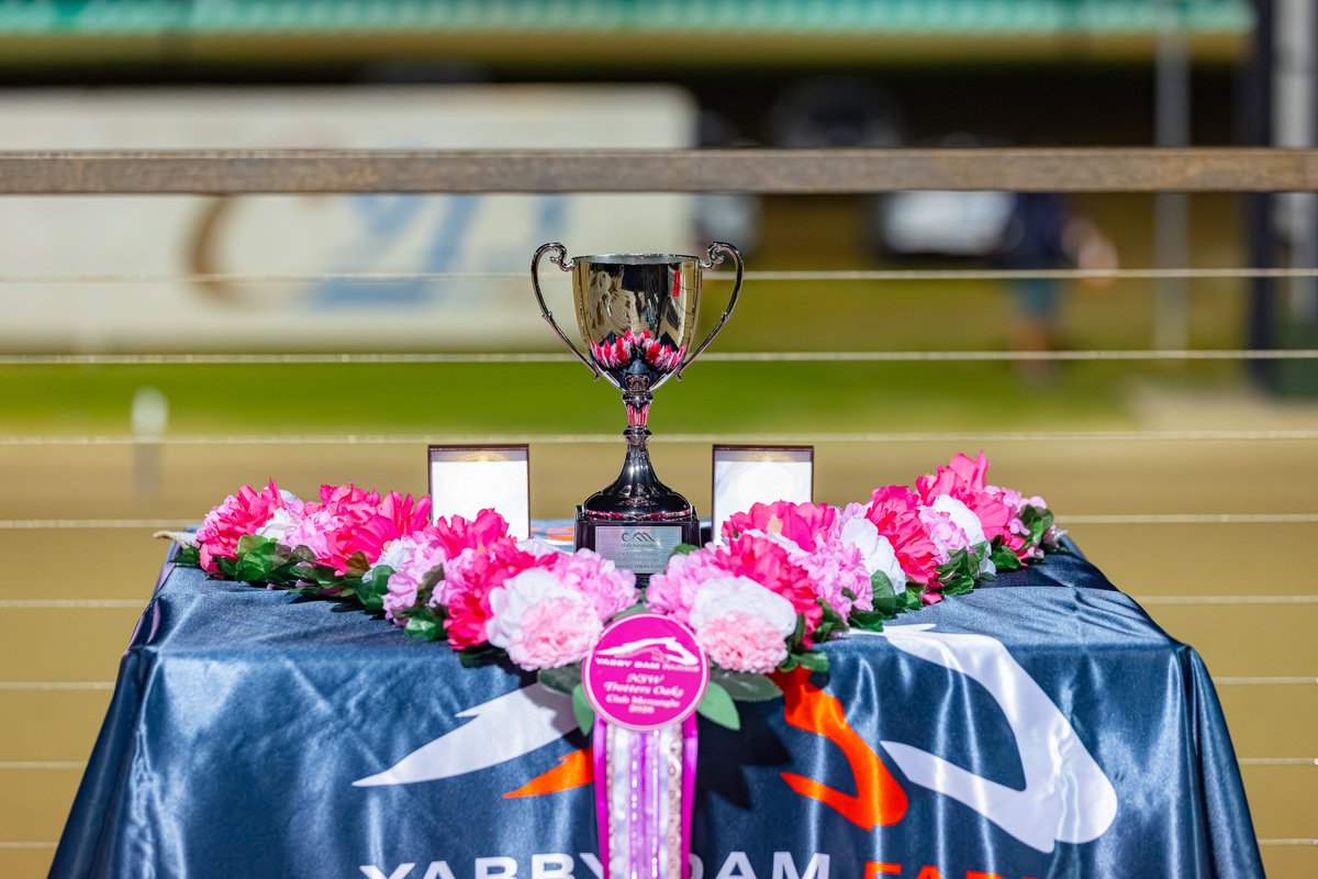 Club Menangle tweet media