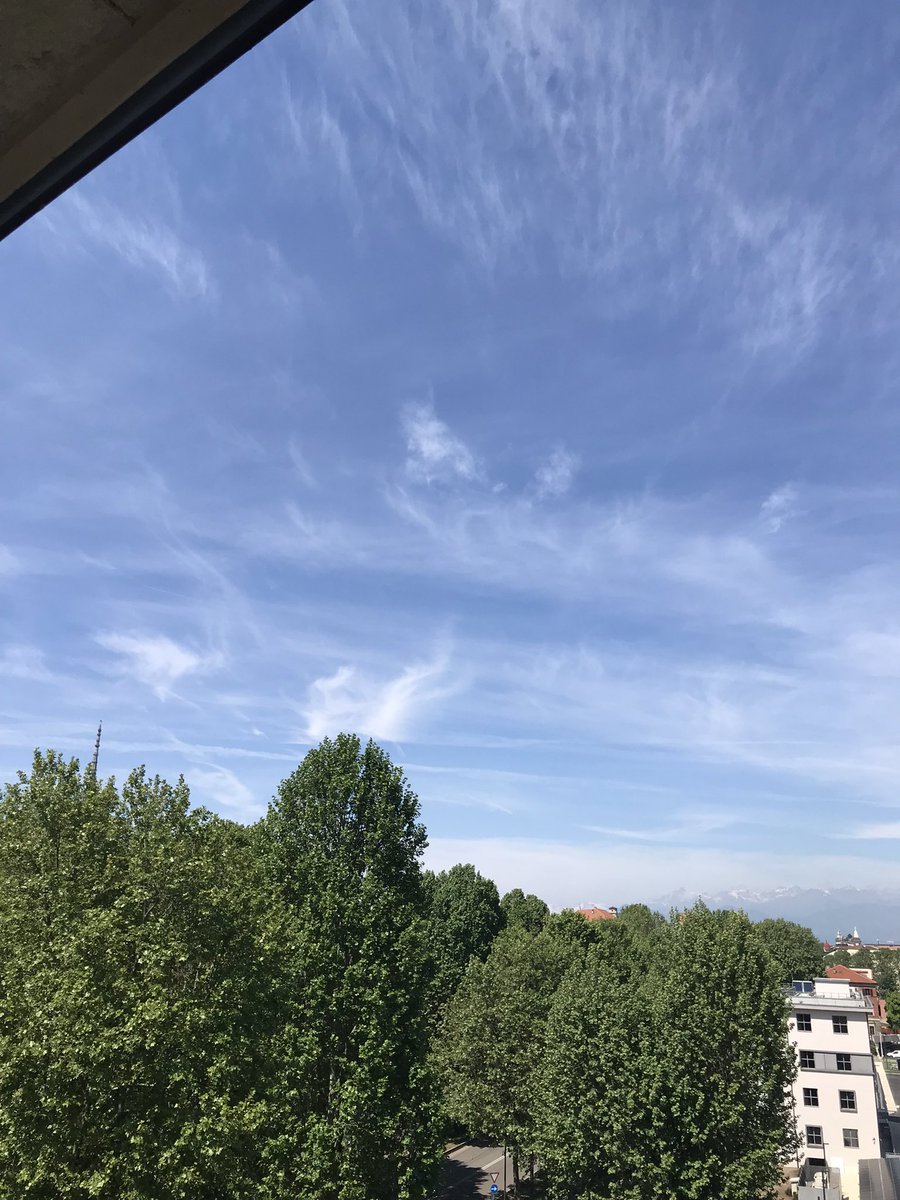 VPrivaci's tweet image. Mi sono svegliata malissimo, si stanno dando da fare per preparare una settimana di merda. Torino