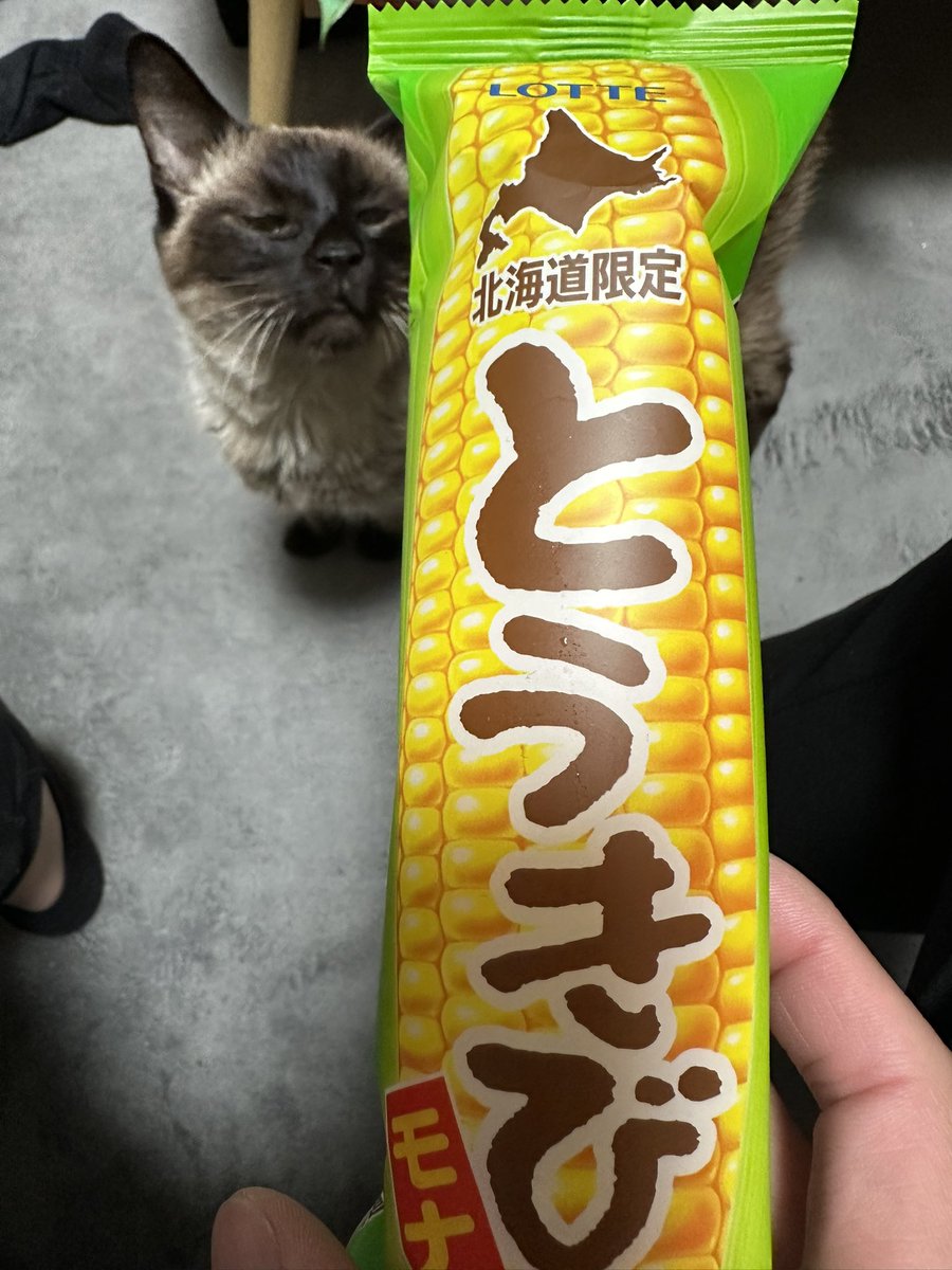 北海道限定って書いてあると買っちまうよな