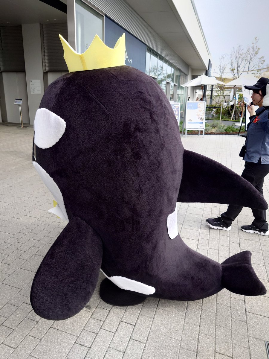 旅するぺん子 tweet media
