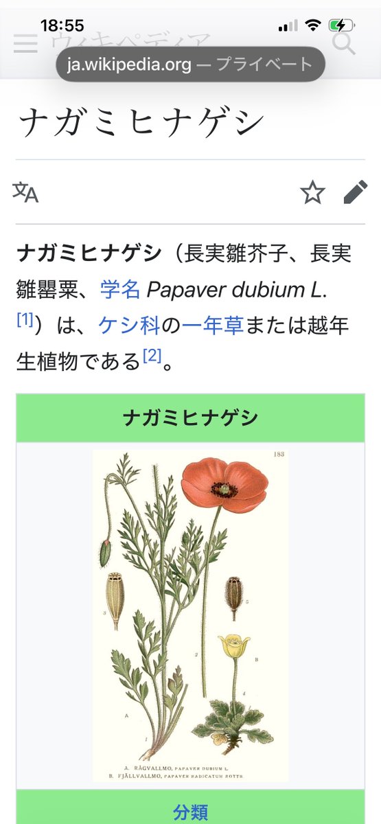 JQ1KCC🎌かながわPG72 tweet media