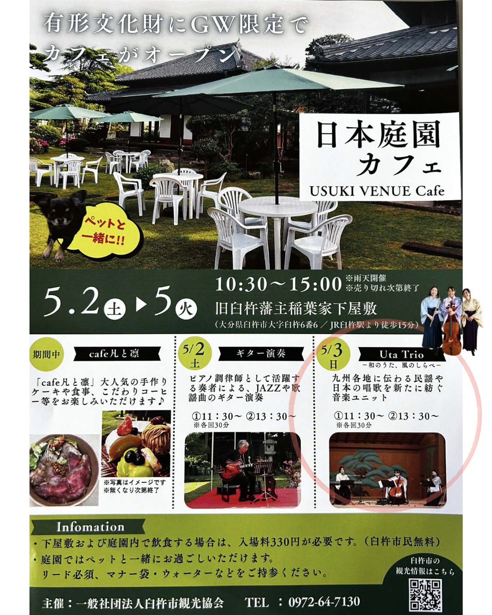 ぴんころ太郎 tweet media