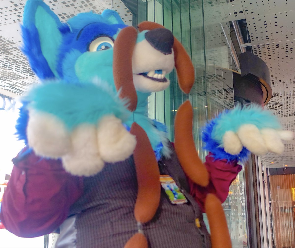 Terry_Husky tweet media