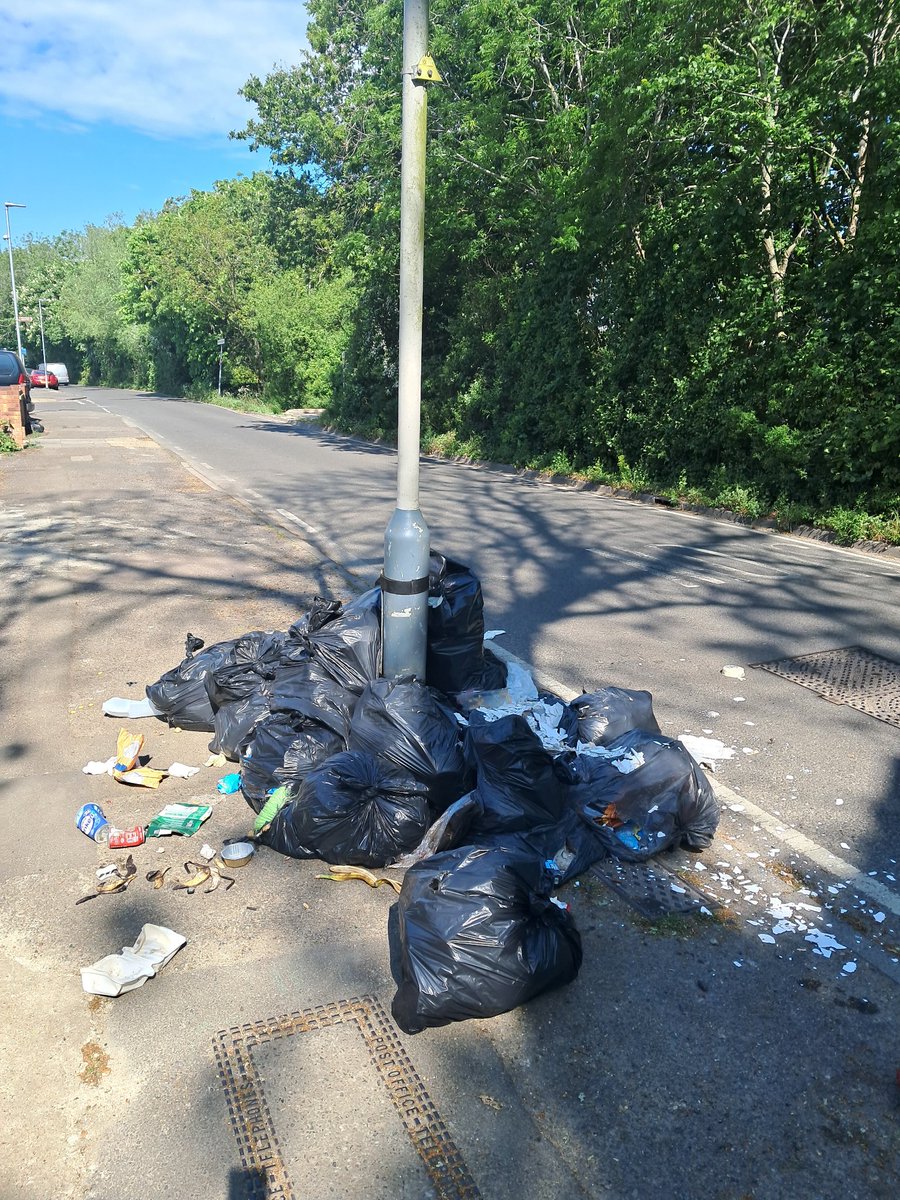 Johnnyplanted's tweet photo. @Hillingdon 
Huge amount of building, commercial and household flytipping on Cranford Lane Harlington overnight. With no active deterrents this is a daily occurrence. Please help us residents fight back.  @johnmcdonnellMP @HeathrowVil_Lab @CranfordAction @MPSCranford @mywestldn https://t.co/ab7FUHR2CU