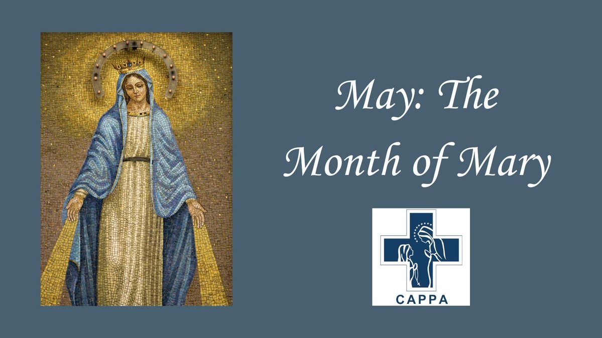 The month of May is dedicated to Mary, Mother of God, Queen of the Universe.  It is a time for special prayers and devotions.  How will you celebrate?