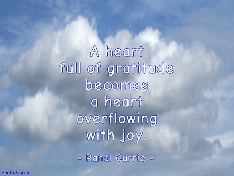 Ranal55's tweet image. A heart full of gratitude becomes a heart overflowing with joy.
 
#quote #quotesmith55 #joy #gratitude
