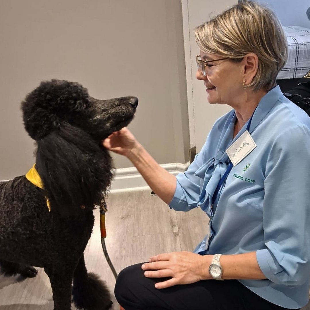 CareMacadamia's tweet image. Heartwarming start at The Somerset Care Centre! Therapy dogs Jimmy Hendrix &amp;amp; Buster brought joy and cuddles 🐾💙 #ElderlyCare #PetTherapy #CommunitySpirit #SomersetWest