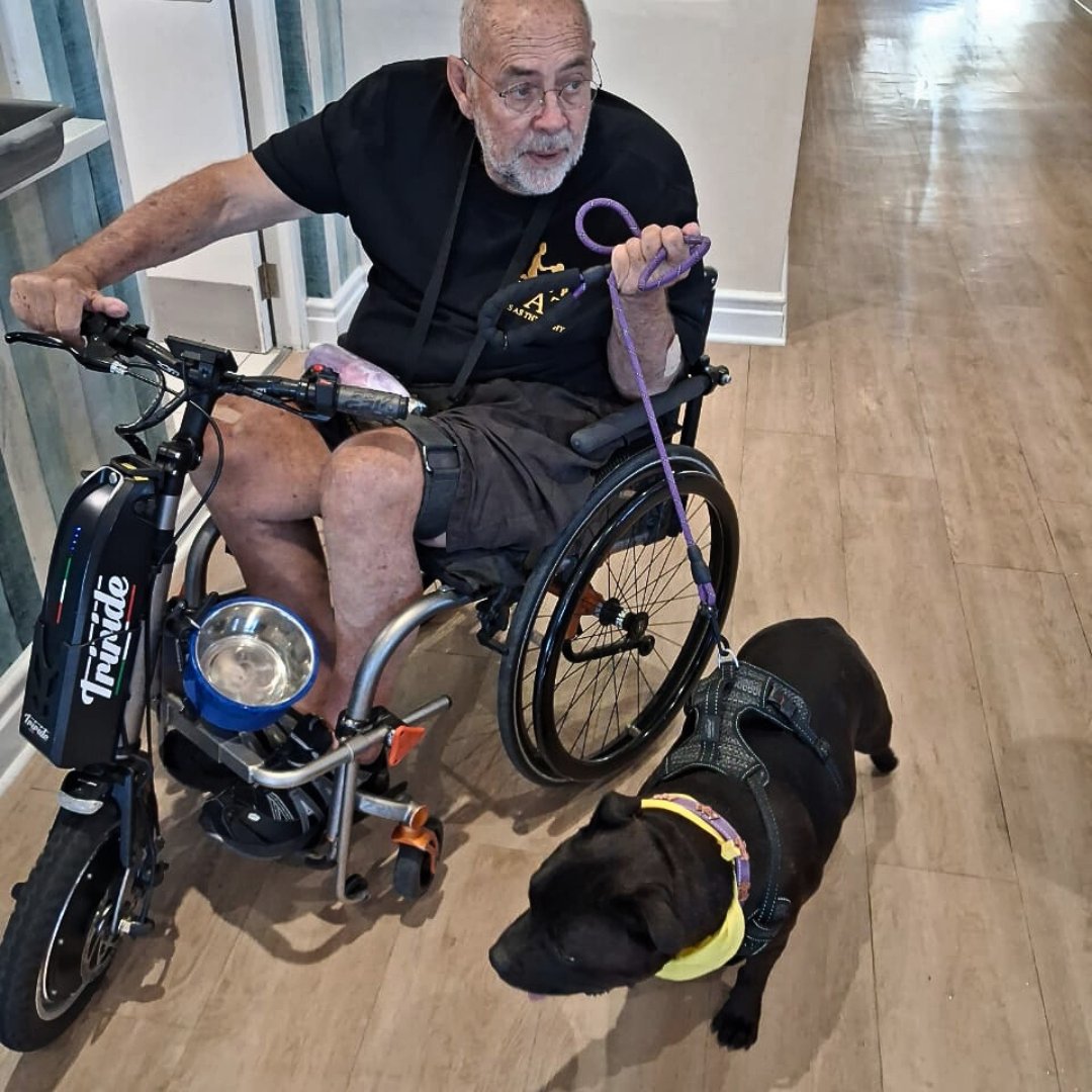 CareMacadamia's tweet image. Heartwarming start at The Somerset Care Centre! Therapy dogs Jimmy Hendrix &amp;amp; Buster brought joy and cuddles 🐾💙 #ElderlyCare #PetTherapy #CommunitySpirit #SomersetWest
