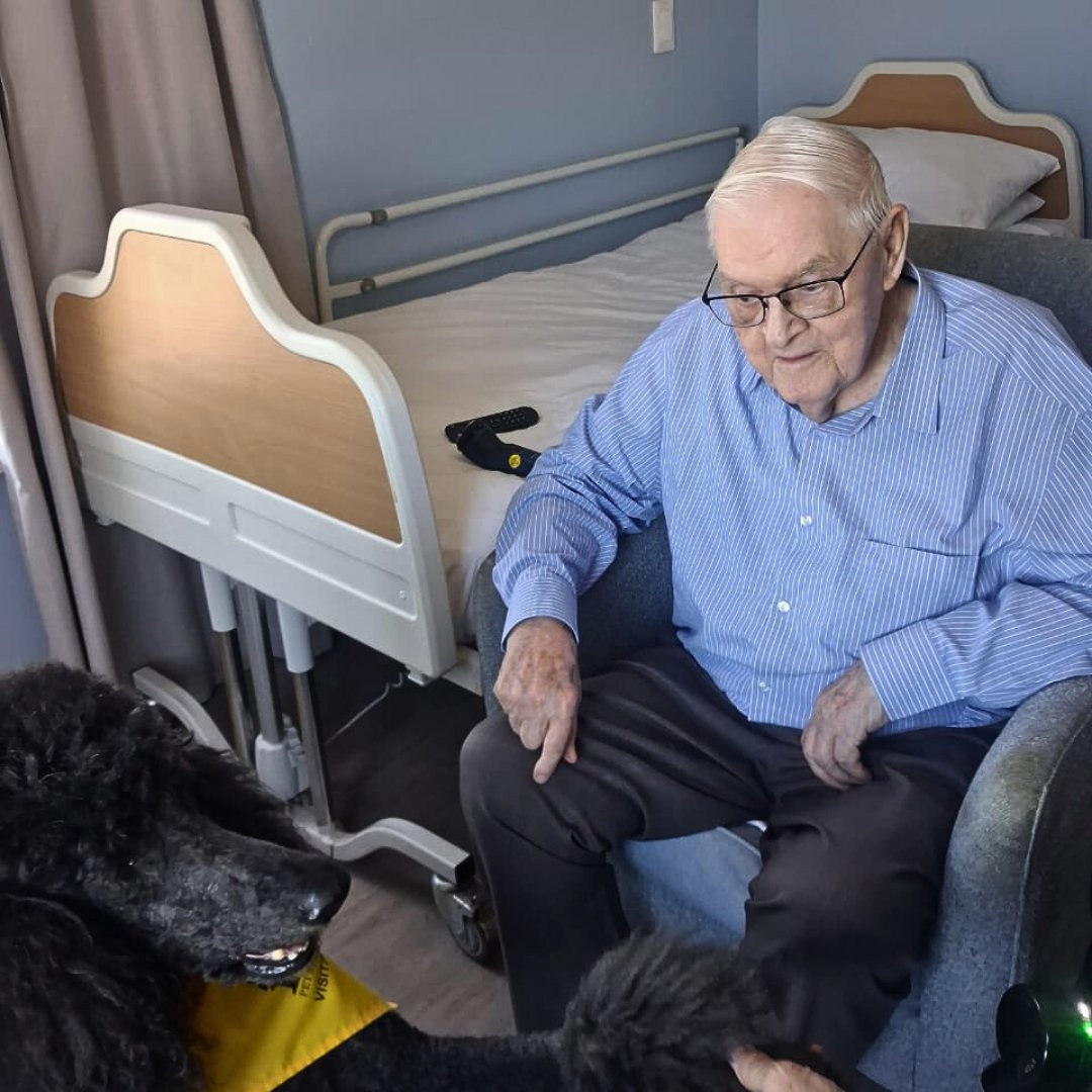 CareMacadamia's tweet image. Heartwarming start at The Somerset Care Centre! Therapy dogs Jimmy Hendrix &amp;amp; Buster brought joy and cuddles 🐾💙 #ElderlyCare #PetTherapy #CommunitySpirit #SomersetWest