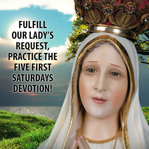 America Needs Fatima tweet media