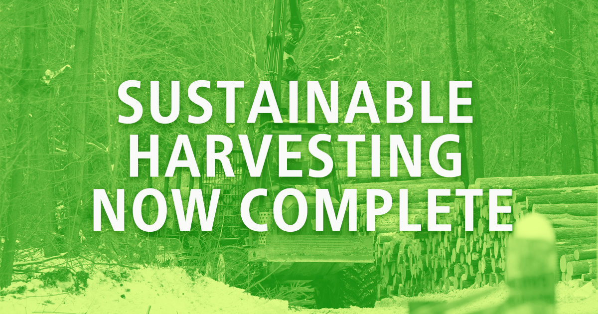 YorkRegionGovt's tweet image. 📣 Hey #YorkRegionalForest visitors! Sustainable timber harvesting at Hall Tract in the @townofws is now finished. For information about the #Forest visit york.ca/YRF