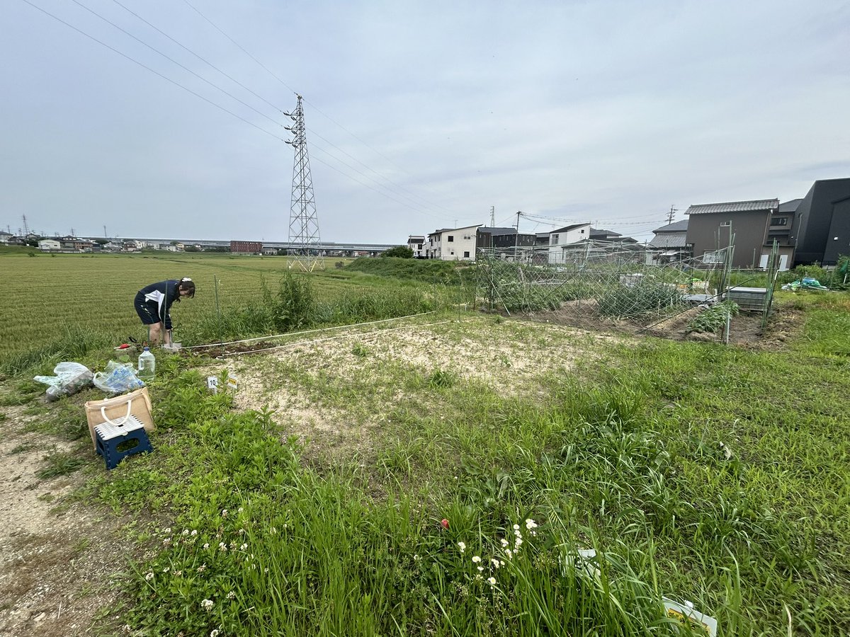 暮らしで、整える🍀ととちゃん tweet media