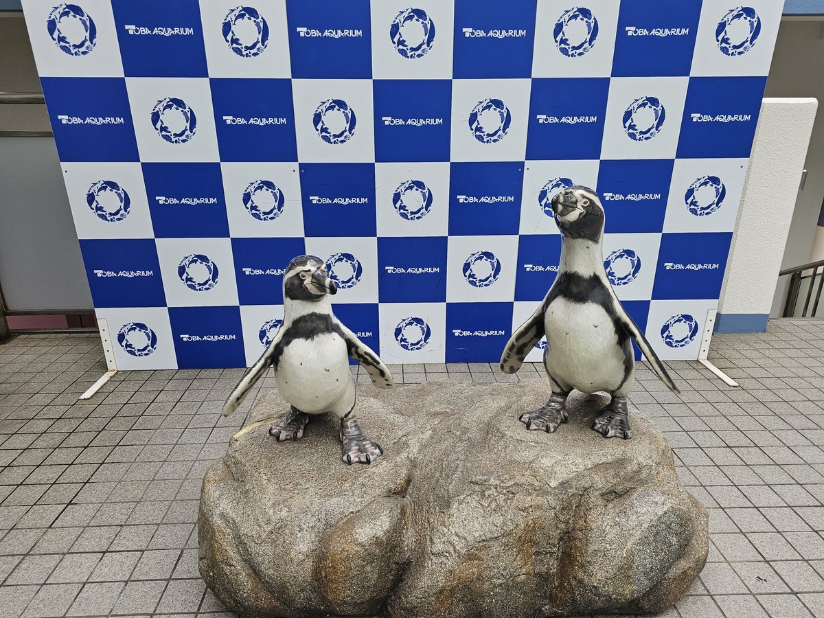 ゆう tweet media