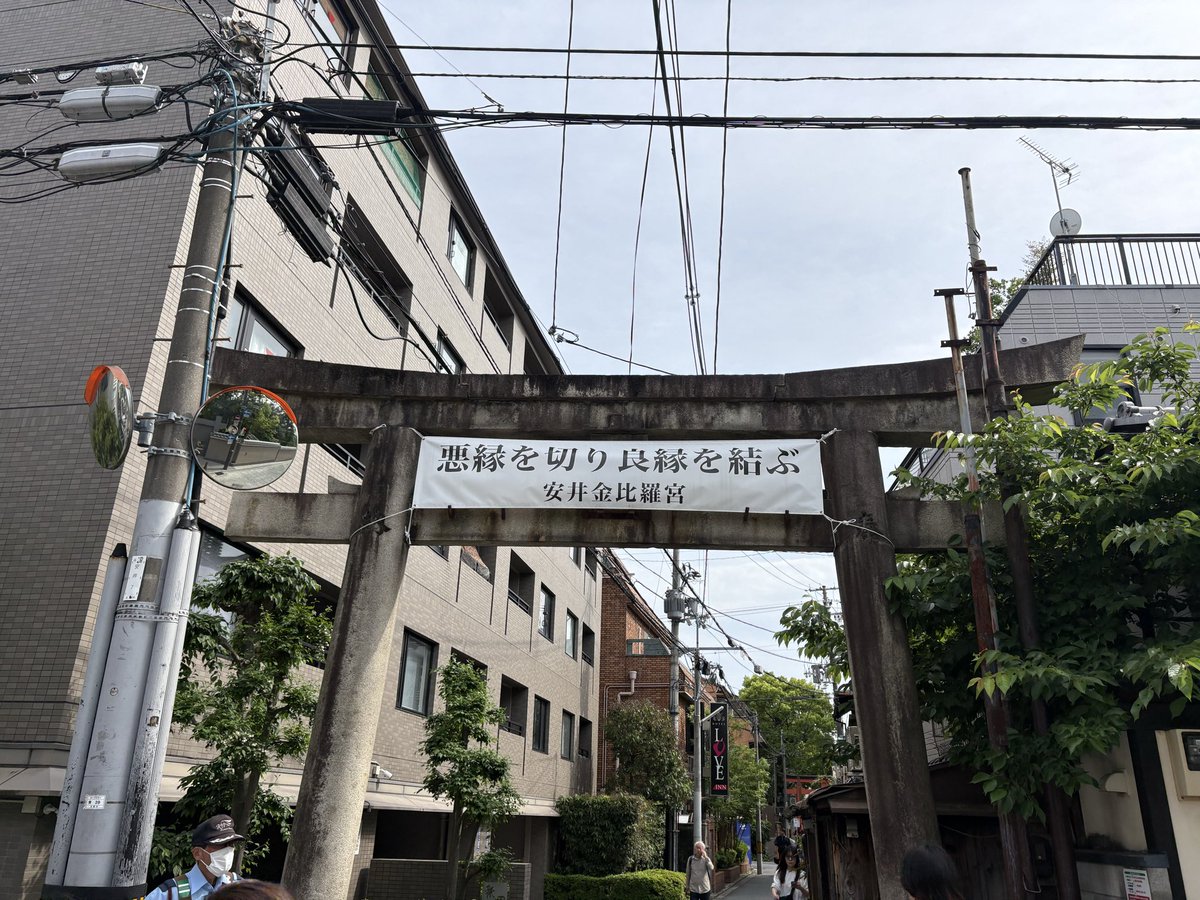うさぎ tweet media