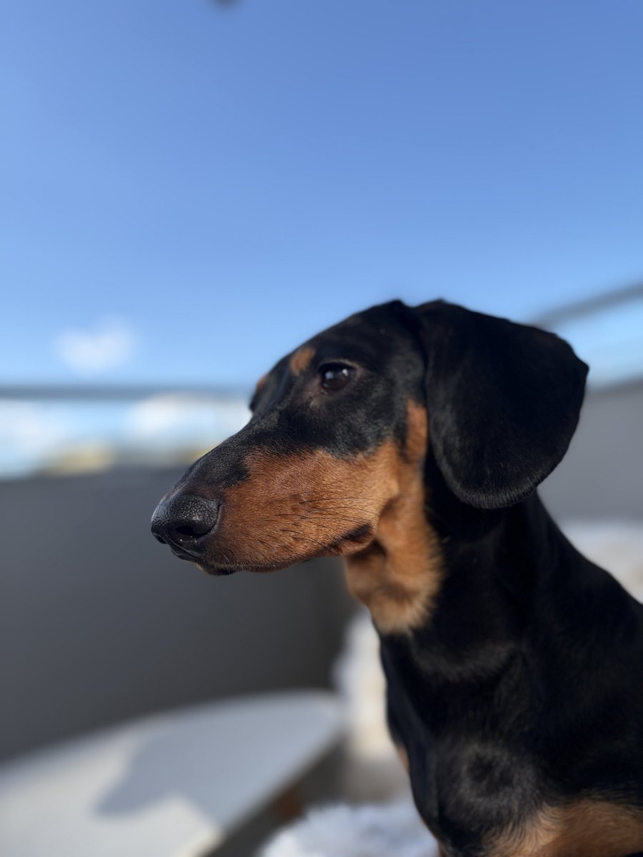 Luci Minks tweet media