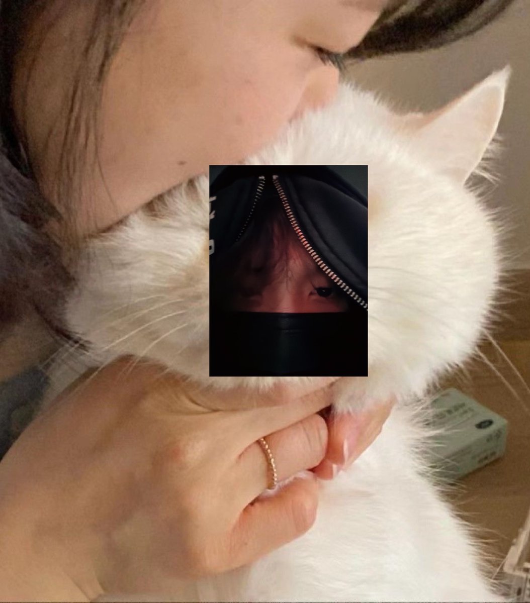 ˚wim♡ tweet media