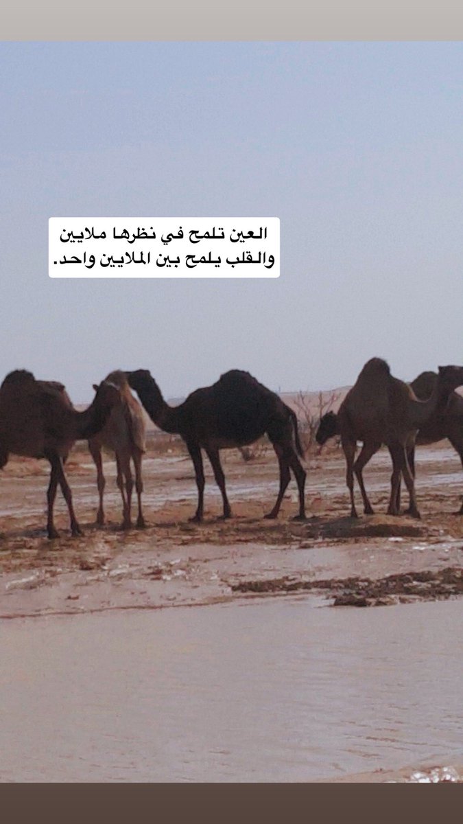 880s9a's tweet photo. تصوير عدستي https://t.co/cV9zbKZIEJ