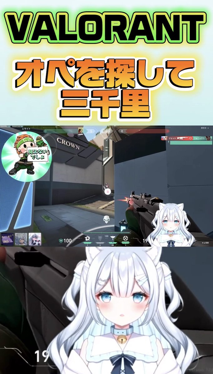 水縹みむ💧🐈🐾新人VTuber tweet media