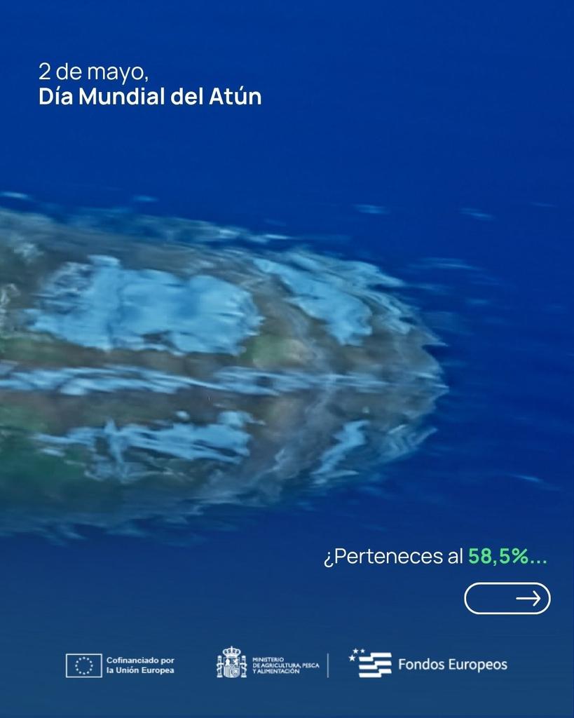 _Opagac's tweet photo. ⚖️🐟 Hoy, en el #DíaMundialDelAtún, seguimos reivindicando que la sostenibilidad debe ser integral. 

Desde #OPAGAC denunciamos la explotación en alta mar y defendemos una pesca reponsable que garantice la dignidad y seguridad de las tripulaciones que alimentan  al mundo. 🤝 https://t.co/tMztaezzeA
