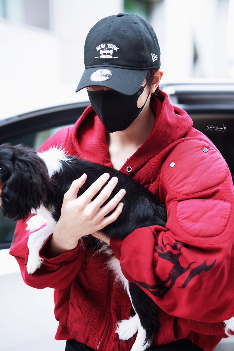 🐕‍🦺❤️‍🔥
<a href="/patrick_pppat/">Patrick</a> #แพทริค 
#DancingWithTheTide
#ZhangYuehui #何不同舟渡