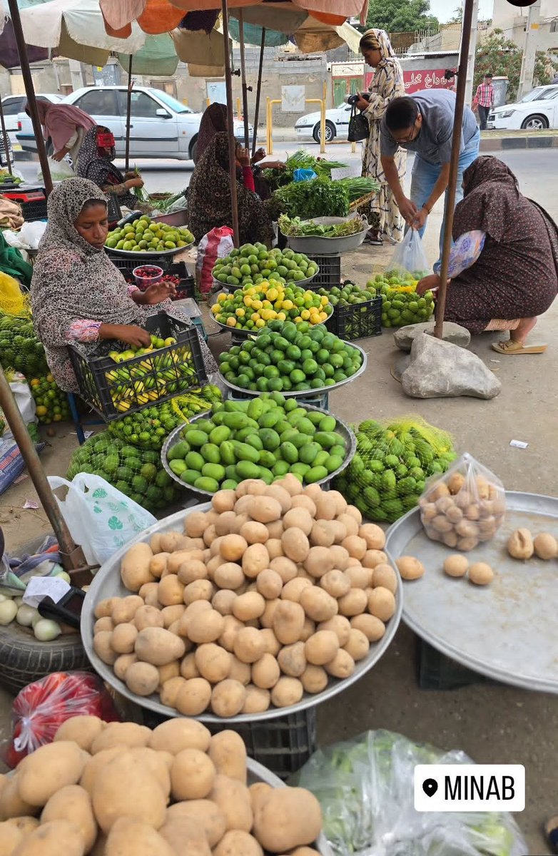 بازار روز میناب و آغاز فروش انبه سبز
