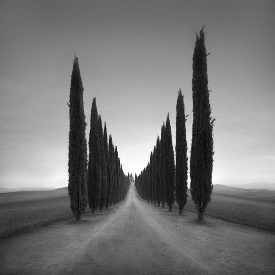 Giorgio tweet media