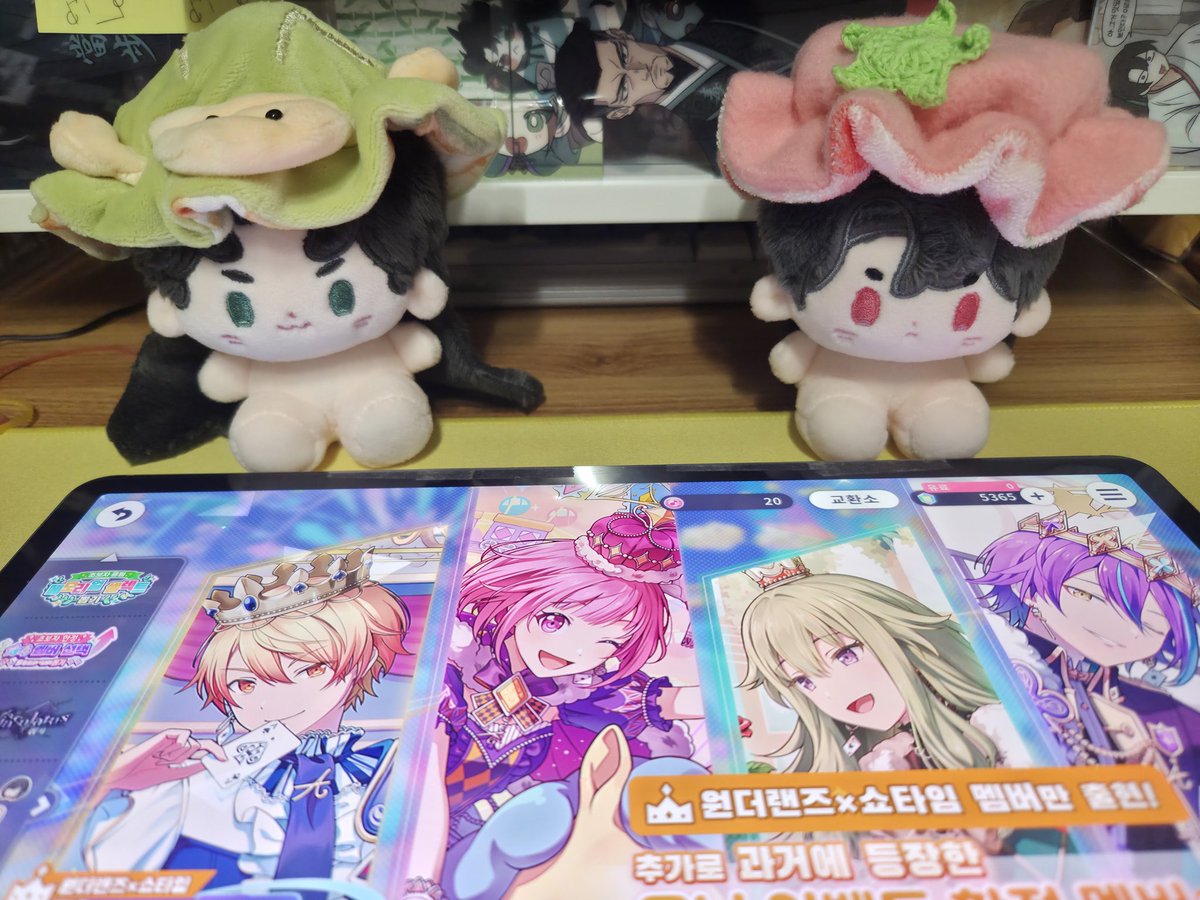 朝雪Asayuki/中벨에 빠져 인생 3회차.中BLに夢中🌸🪈 tweet media