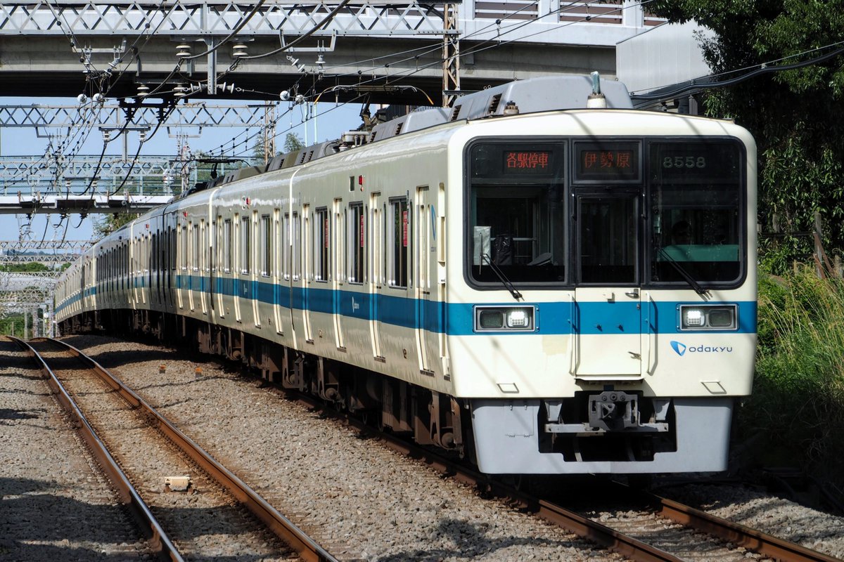 かいきゅー tweet media