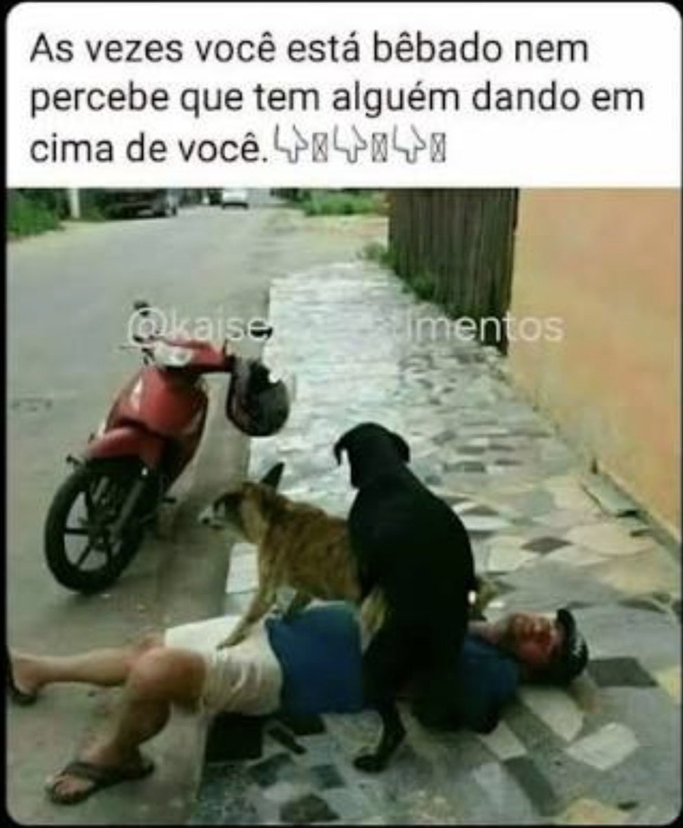 <a href="/Chris_Branco/">𝕮𝖍𝖗𝖎𝖘 𝕭𝖗𝖆𝖓𝖈𝖔</a> Às vezes o amigo tira foto enquanto os outros cuidam.
😃