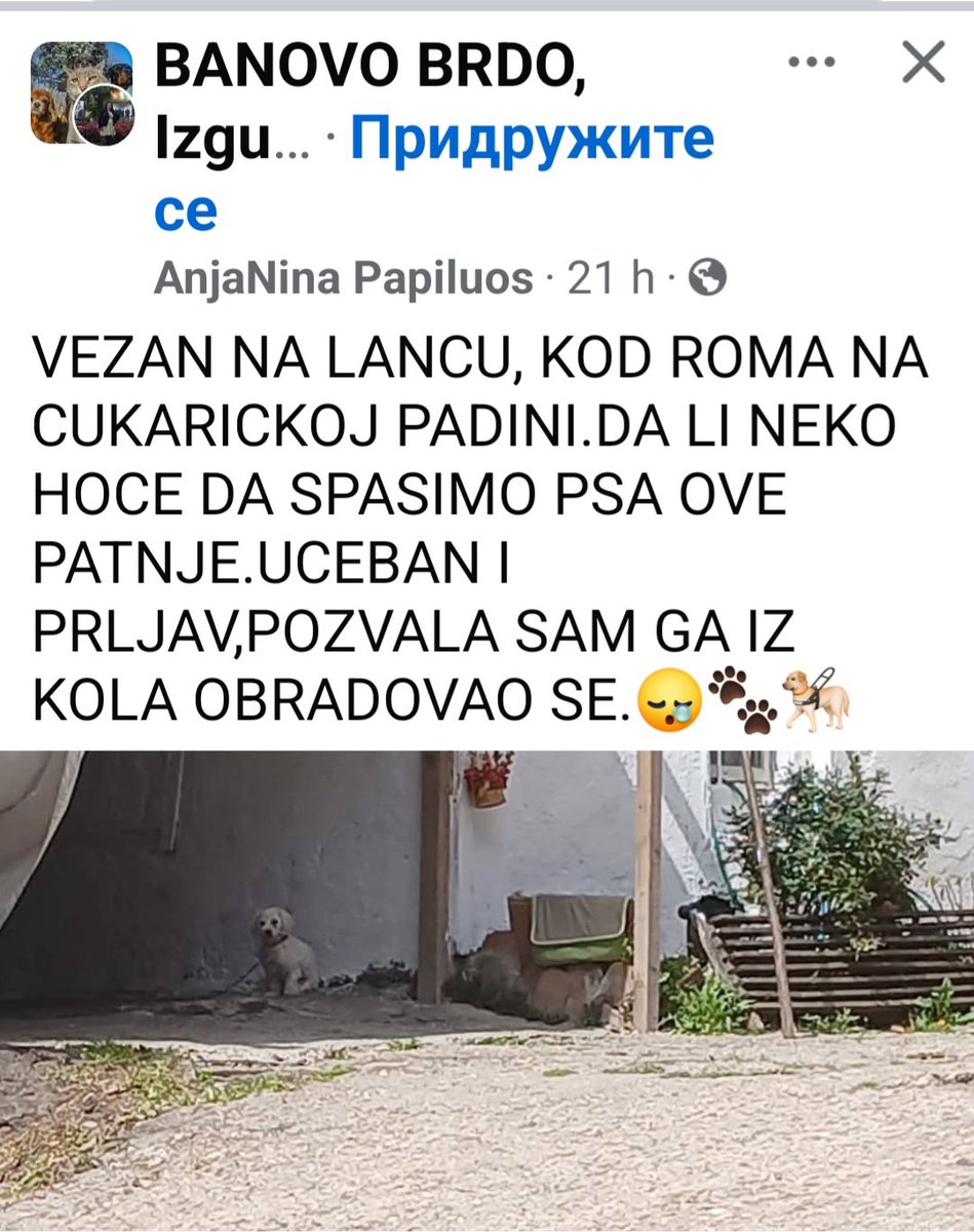 Oskar tweet media