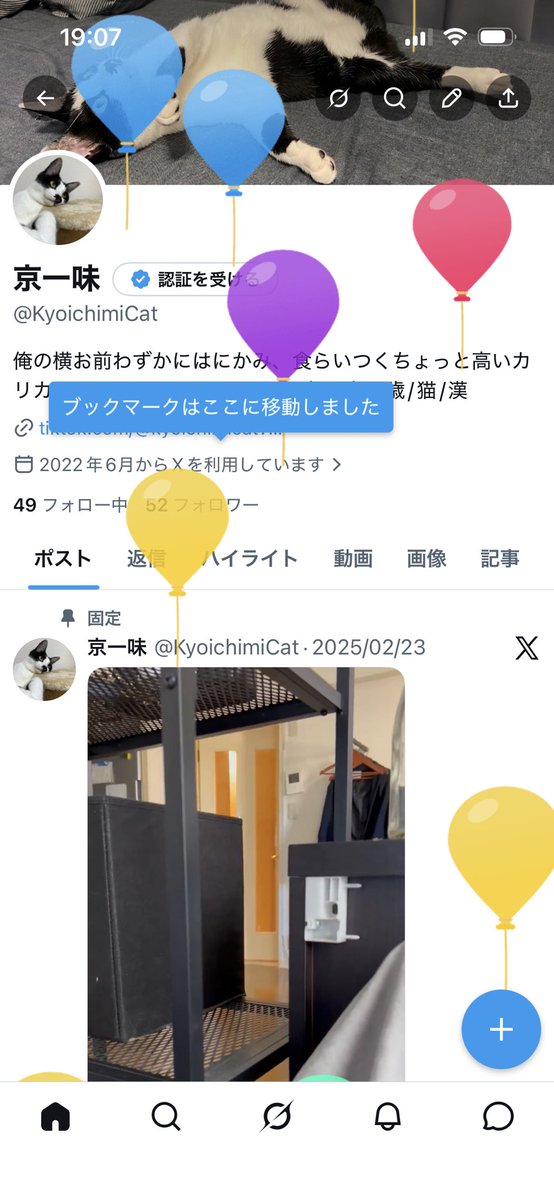 KyoichimiCat's tweet photo. 風船飛んだにゃ https://t.co/yl7GMvcXj8
