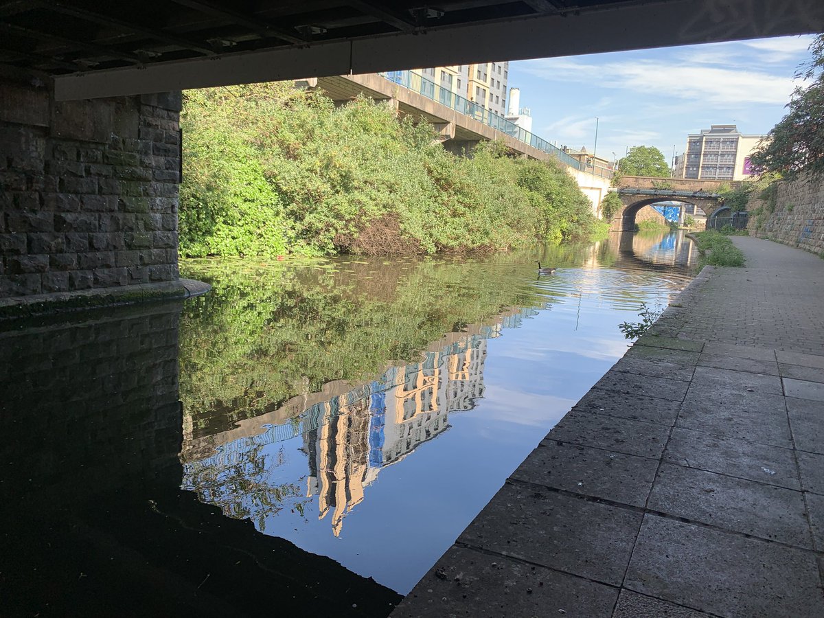 tompolkey's tweet image. A wonderful walk on a glorious morning day along the Nottingham Beeston Canal #canals #nottingham #walking #reflection #photography