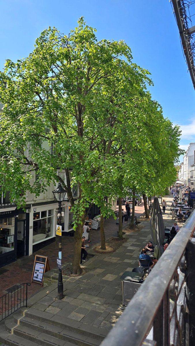 JlpRoger's tweet image. Lovely high spot for a coffee #pantiles #tunbridgewells