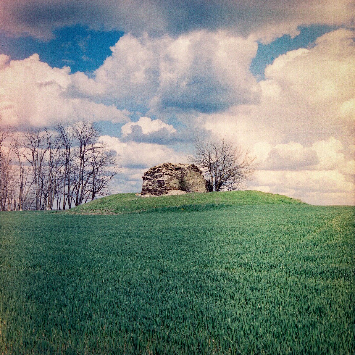 varulart's tweet photo. I love film photography. I’ve mastered the entire process, from shooting to printing large-format photographs. I don’t respect those who outsource their film development—what’s the point then… The concept of total authorship is lost.
© 2026 Nicolas Varul
Mamiya C220/120 film https://t.co/9PT9OwEtYC