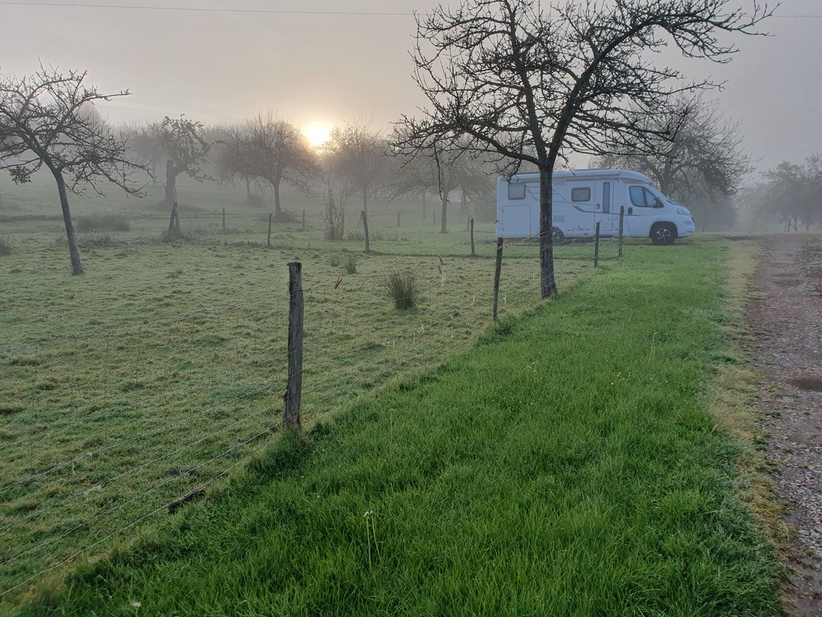 TemplarsCider's tweet image. Misty start on our small, 6 place cider farm campsite w/ facilities, for motorhomes,  tents &amp;amp; caravans. Our farm cider, Calvados , 🍎 juice from our organic orchards available too #motorhome #campingcar #camping #caravan #cider #Calvados