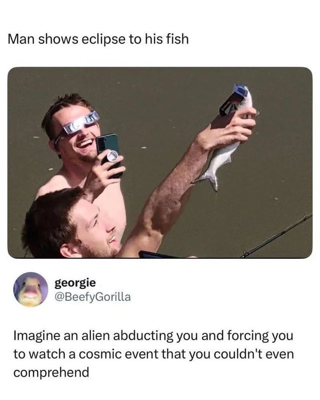 God tweet media