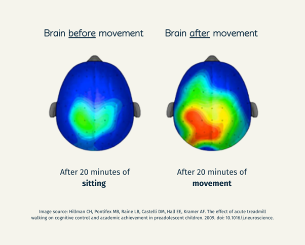 Most people think walking doesn’t do much.

I think they are wrong.

And that it’s one of the most underrated, accessible ways you can optimise your health.

Here’s what happens in just 1 hour:

In the first 2 minutes, your heart kicks into gear. Blood pressure improves. Your