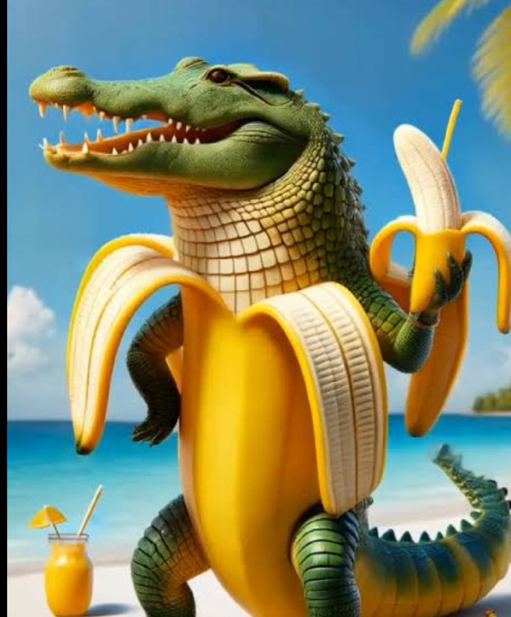 crocodile tweet media