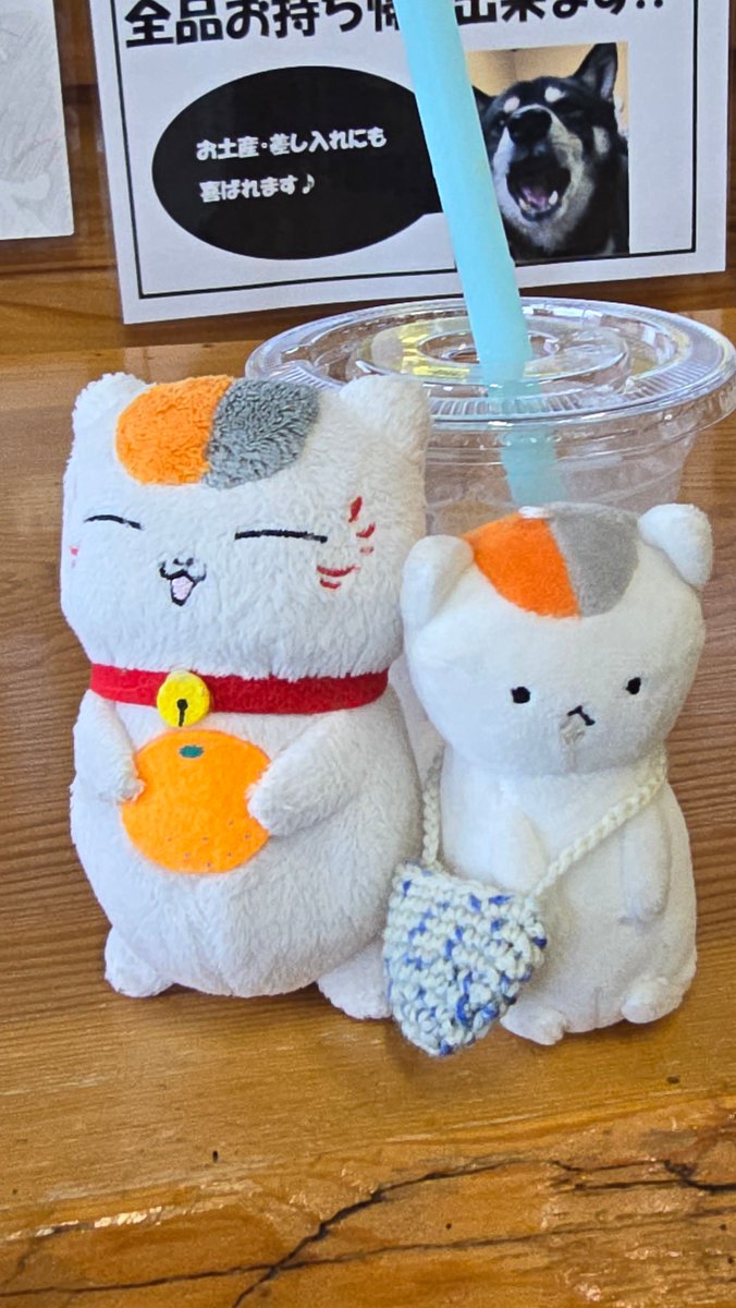 ジゲモン tweet media