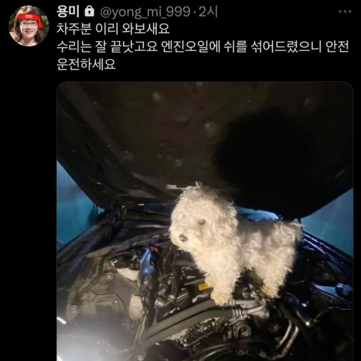 퐁콜라의 짤저장계 tweet media