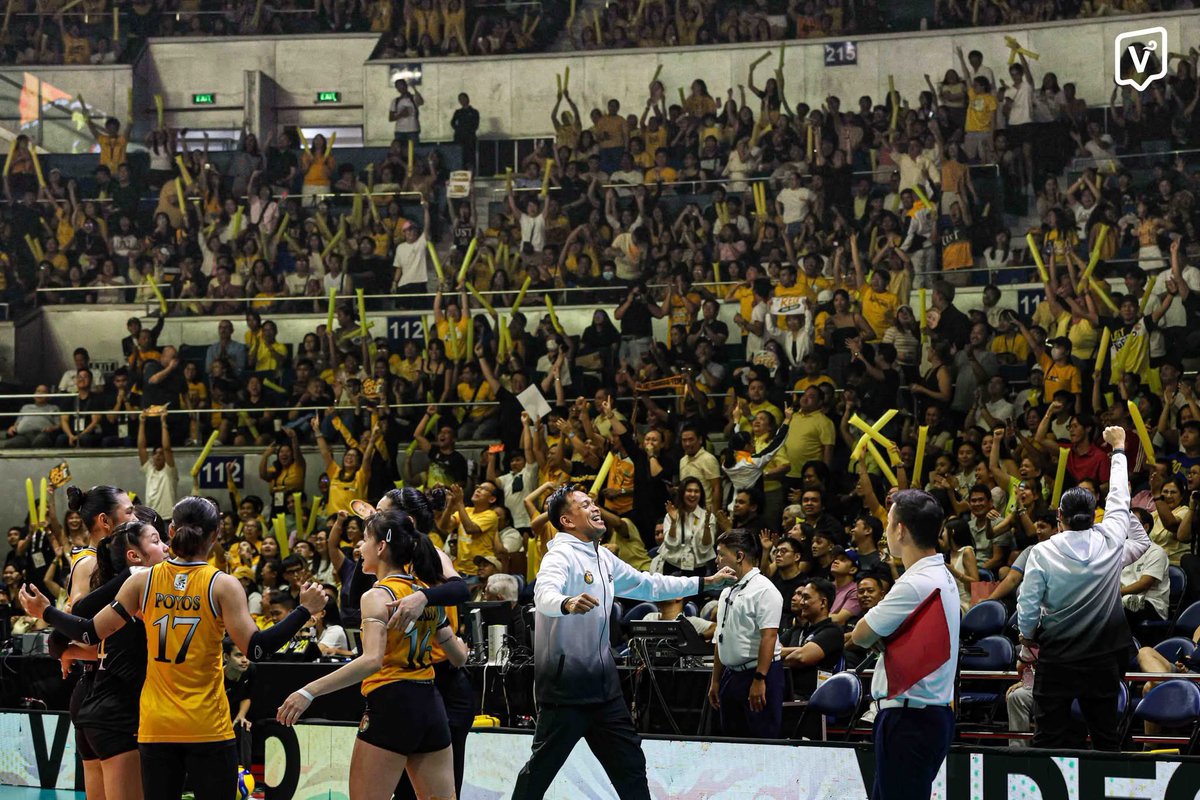 volleybagan tweet media