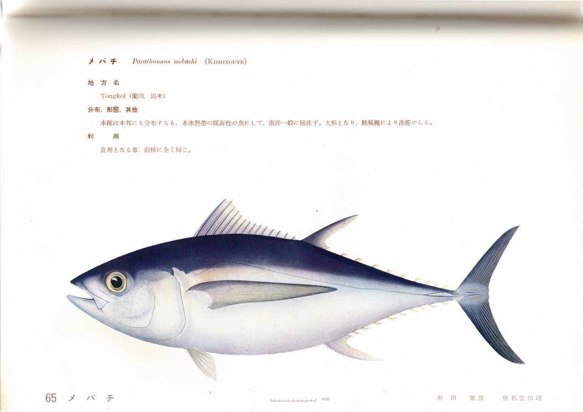 極希少品❗️これで充分四字熟語 奇妙な四字熟語 (ポプラ新書 254) | 杉岡 幸徳 |本 | 通販 | Amazon