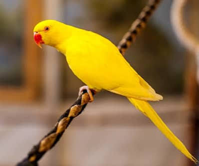 Haseebꨄ tweet media