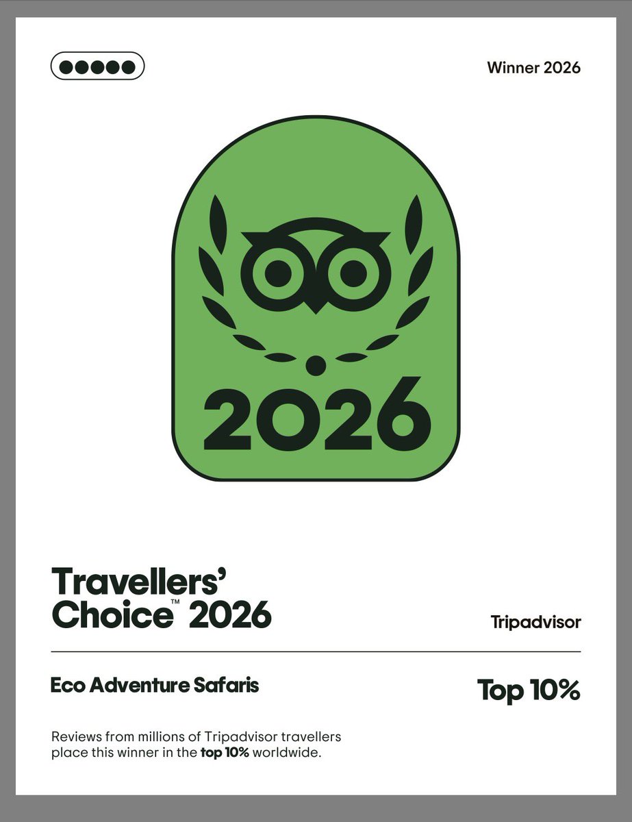 ecoadventuresug's tweet photo. We are top and an Amazing team only found @ecoadventuresafaris. https://t.co/grEHjK0TmM